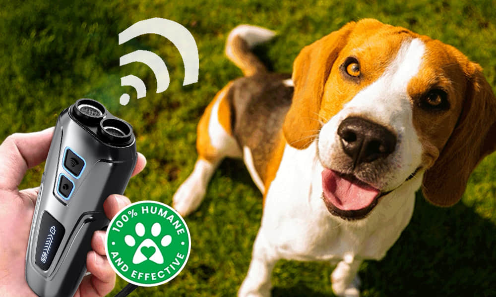 Barkiverse Device